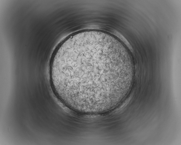 X0000111150939200907141338