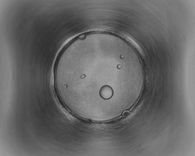 X0000111150940200907141338