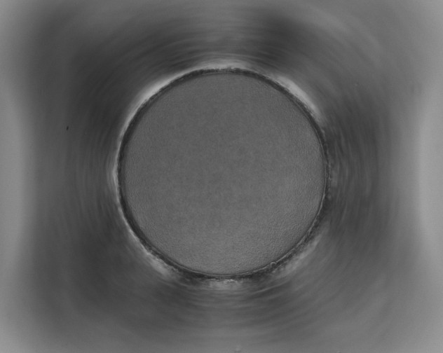 X0000111150943200907141338