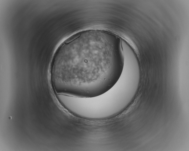 X0000111150944200907141338