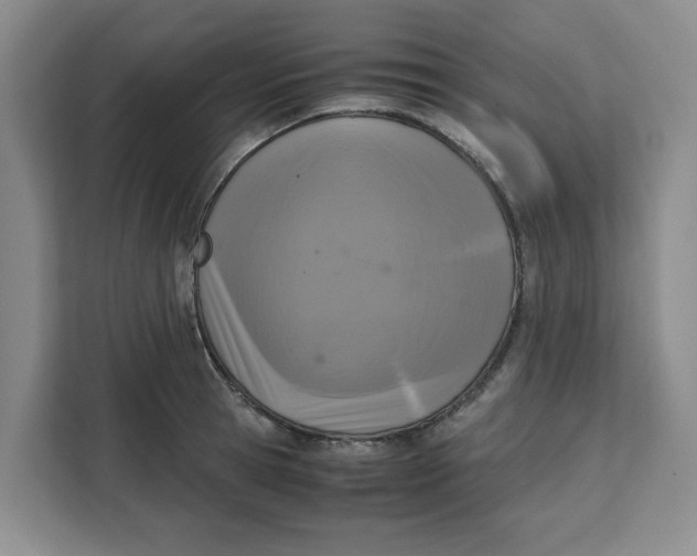 X0000111150945200907141339