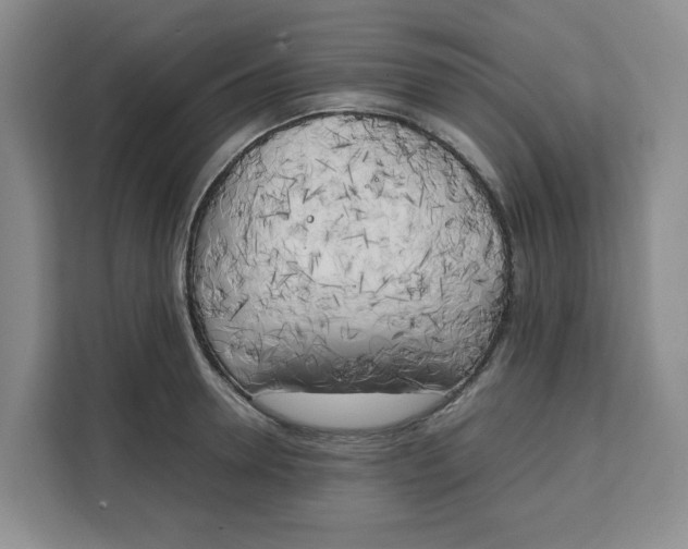 X0000111150946200907141339