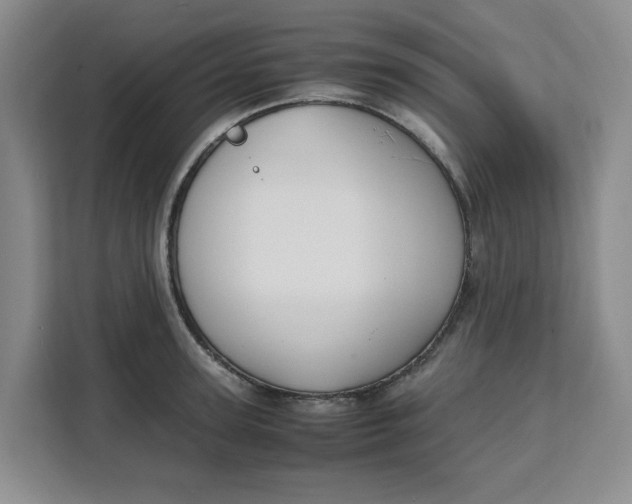 X0000111150947200907141339