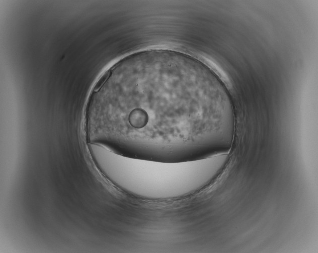 X0000111150948200907141339