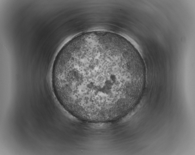 X0000111150949200907141339