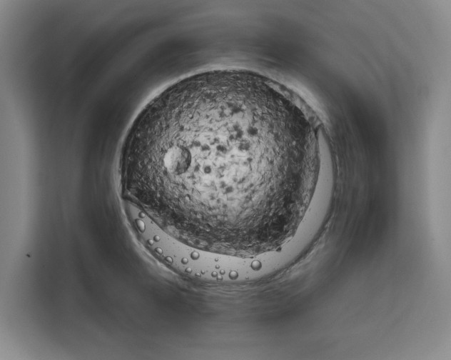 X0000111150950200907141339