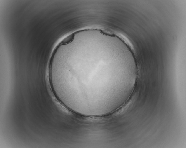 X0000111150952200907141339