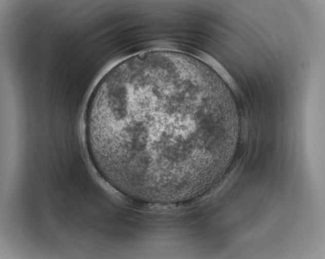 X0000111150955200907141339