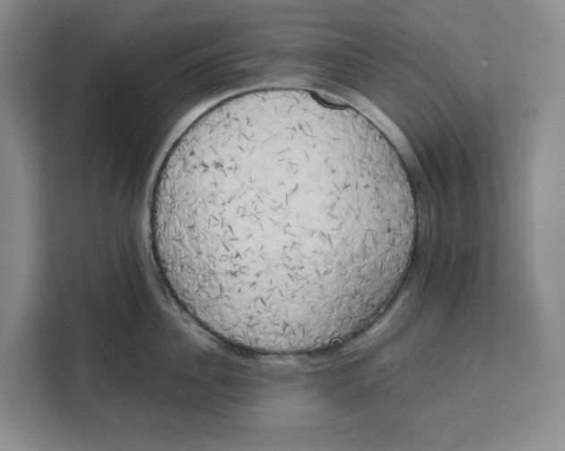X0000111150956200907141339