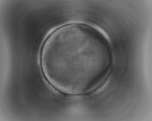 X0000111150958200907141339