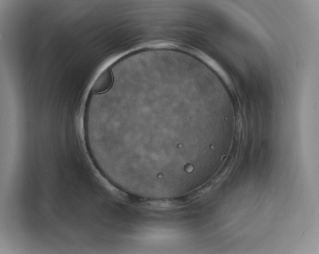X0000111150959200907141339