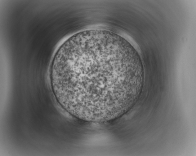 X0000111150960200907141339