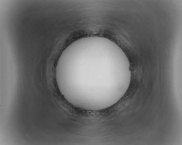 X0000111150961200907141338