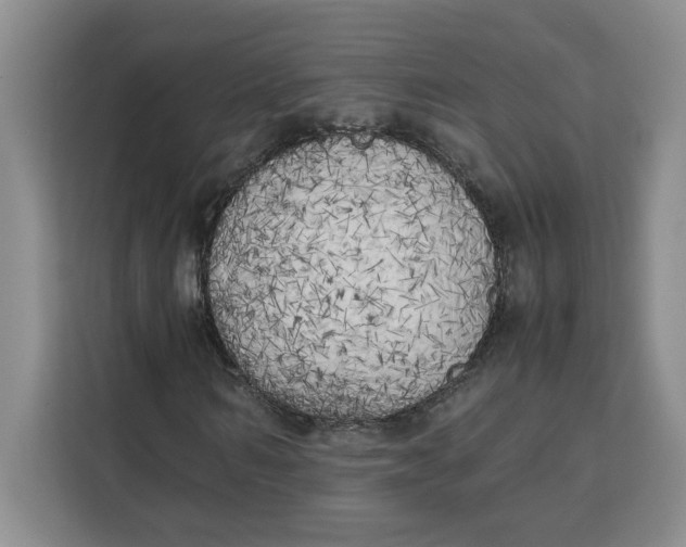 X0000111150962200907141338