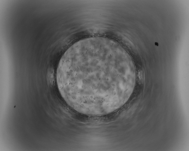 X0000111150963200907141338