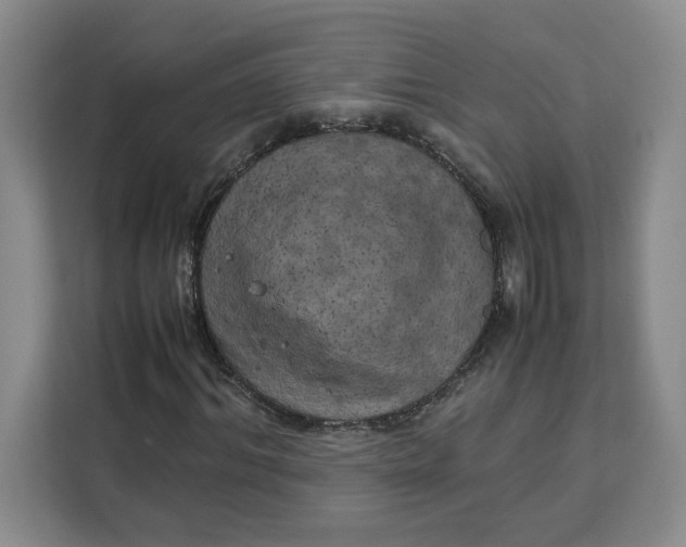 X0000111150964200907141338