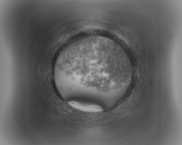 X0000111150965200907141338