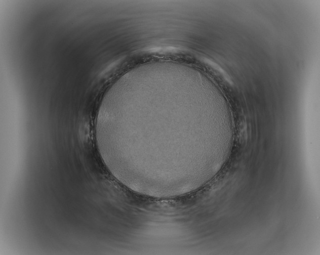 X0000111150966200907141338