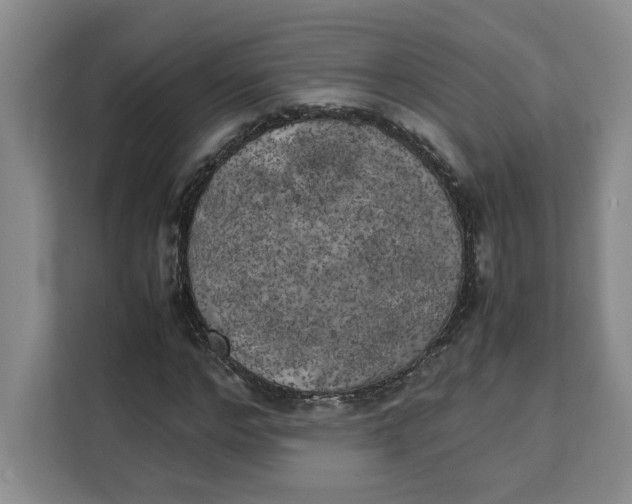 X0000111150968200907141338