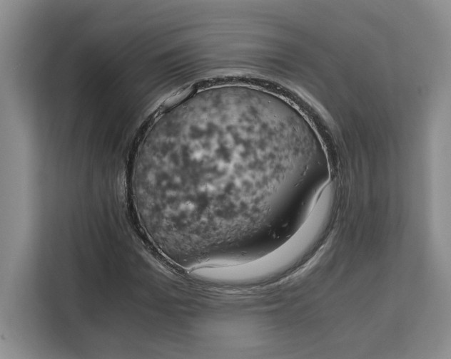 X0000111150969200907141338