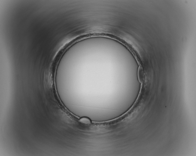 X0000111150973200907141338