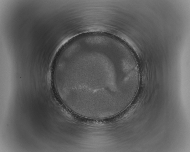 X0000111150975200907141338
