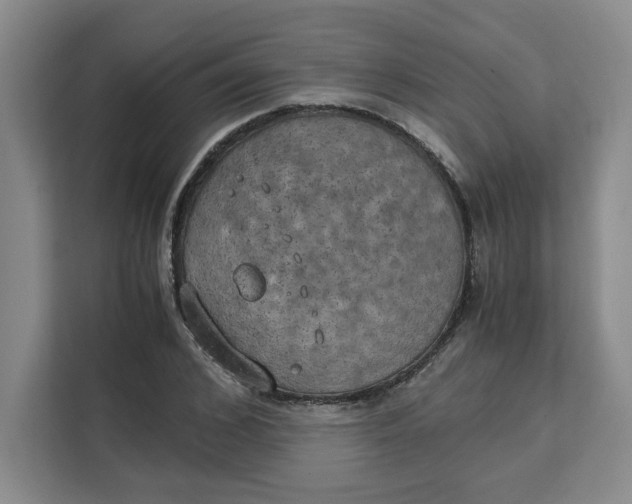 X0000111150976200907141338