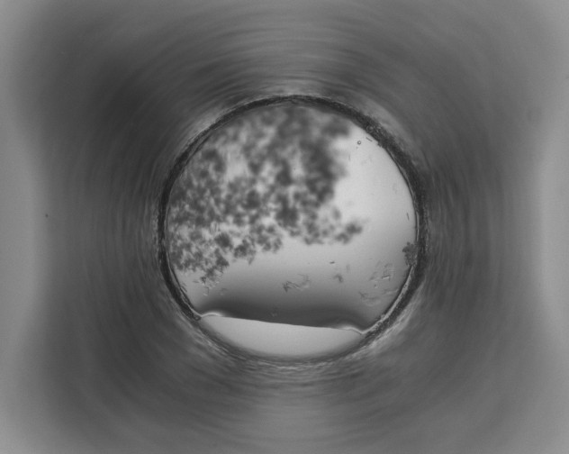 X0000111150977200907141338