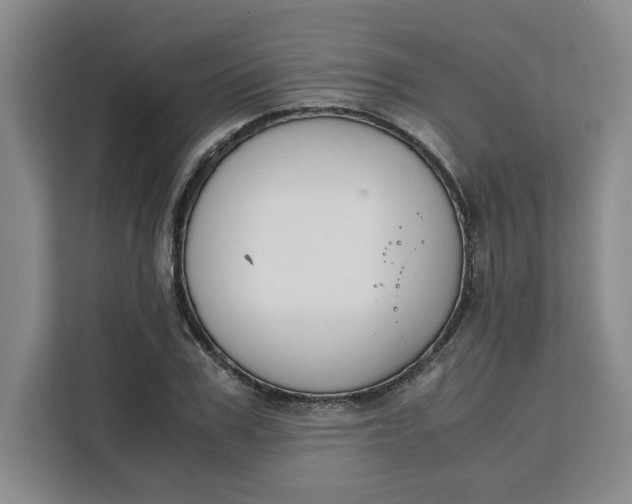X0000111150979200907141338