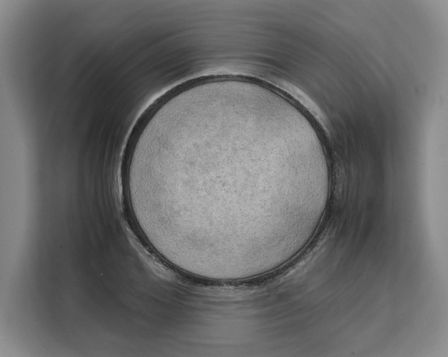 X0000111150980200907141338