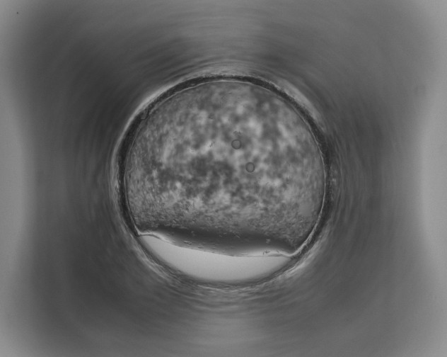 X0000111150981200907141338