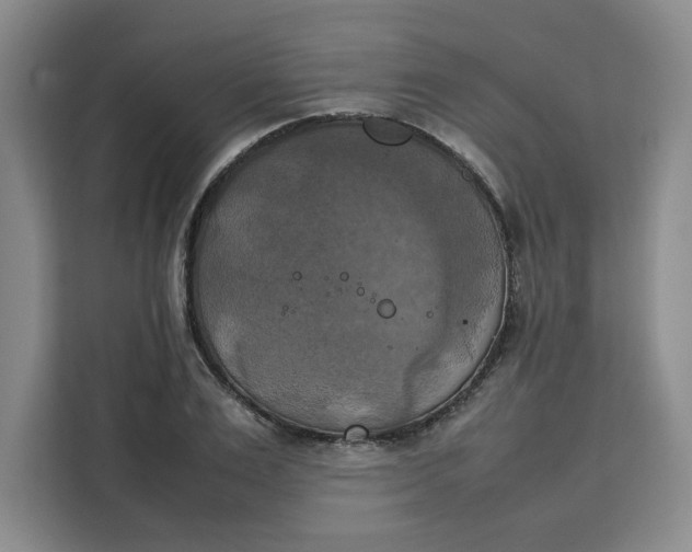 X0000111150983200907141338