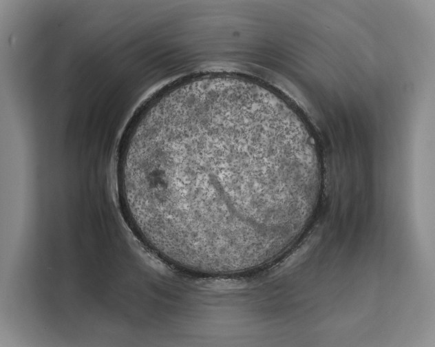 X0000111150984200907141338
