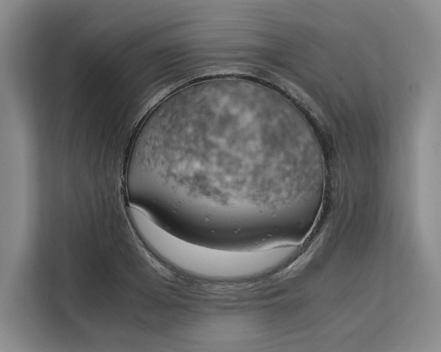 X0000111150985200907141338