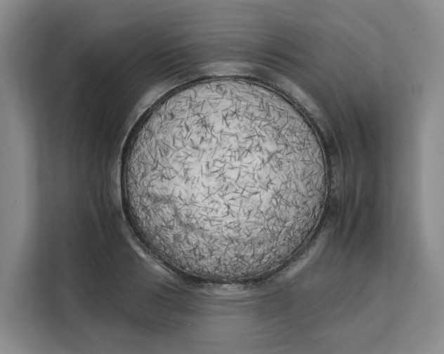 X0000111150986200907141338