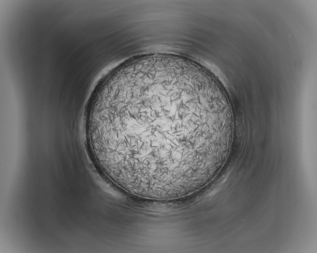 X0000111150987200907141338