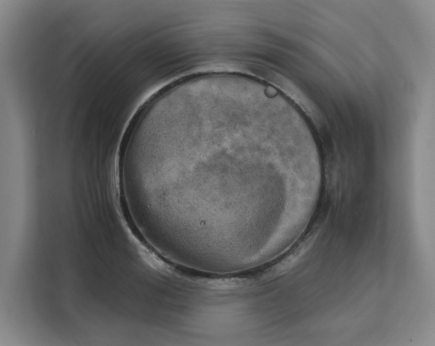 X0000111150988200907141338