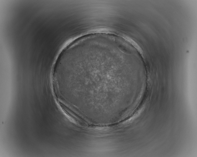 X0000111150989200907141338
