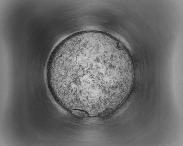 X0000111150991200907141338