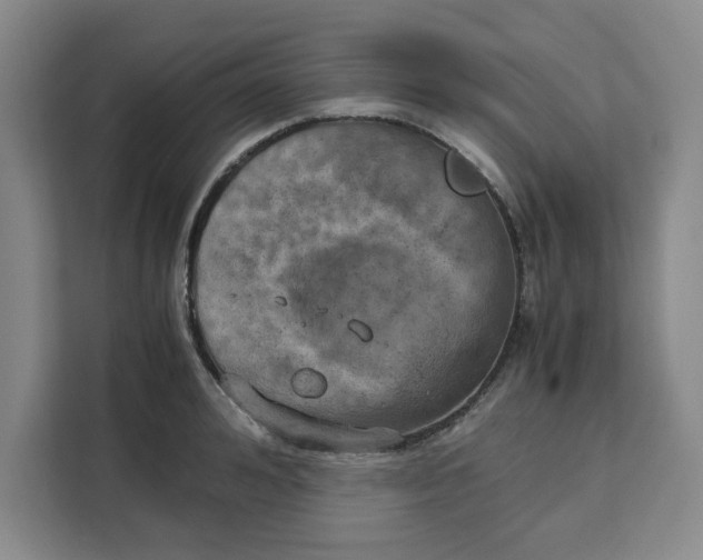 X0000111150992200907141338