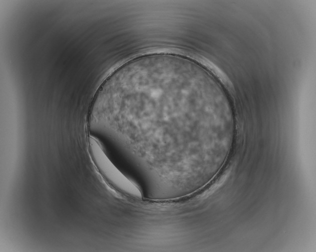 X0000111150993200907141338