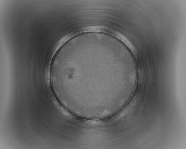 X0000111150994200907141338