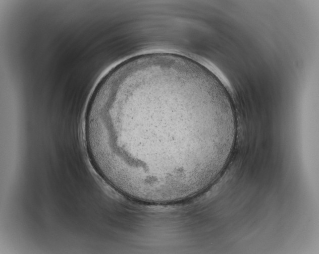 X0000111150996200907141338