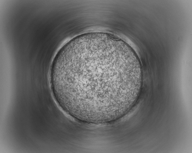 X0000111150997200907141338