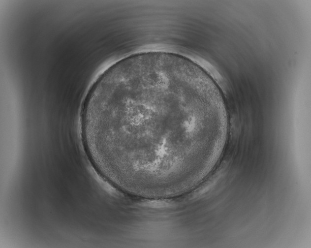 X0000111150998200907141338