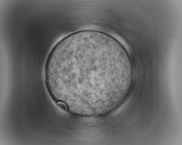 X0000111150999200907141338