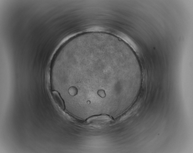 X0000111151000200907141338