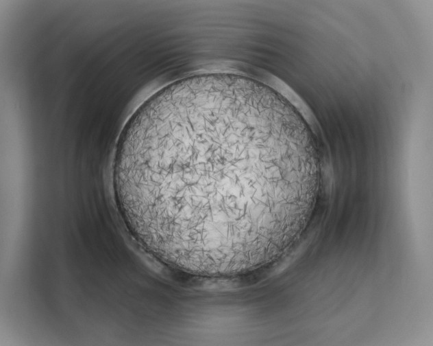 X0000111151002200907141338