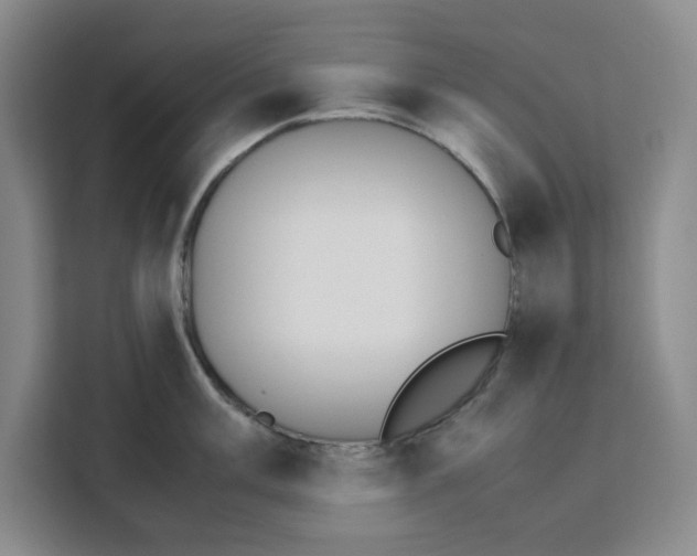 X0000111151003200907141338