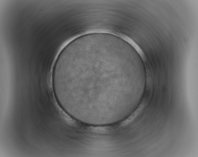 X0000111151004200907141338